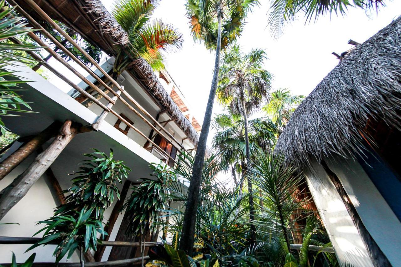 Chambre Lit King-Size Supérieure avec Toit-Terrasse - Vue sur Jungle