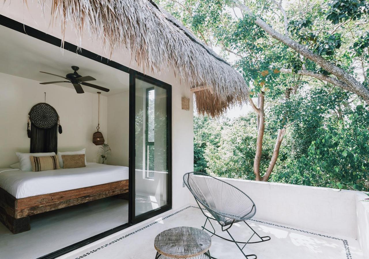 Tropical Room with Terrace,1592101656:JPEG