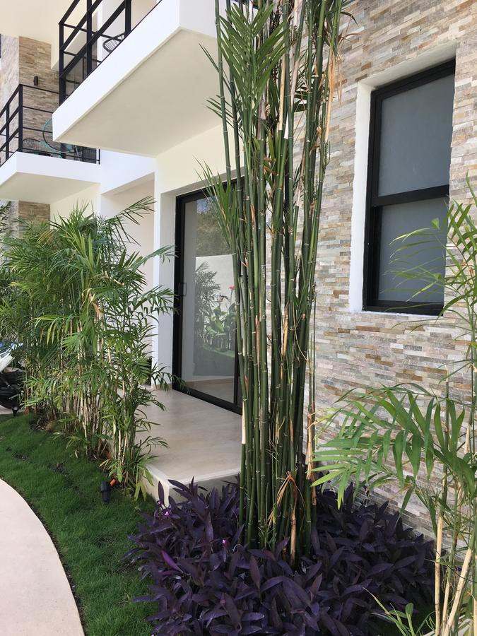 Apartamento con vistas al jardín