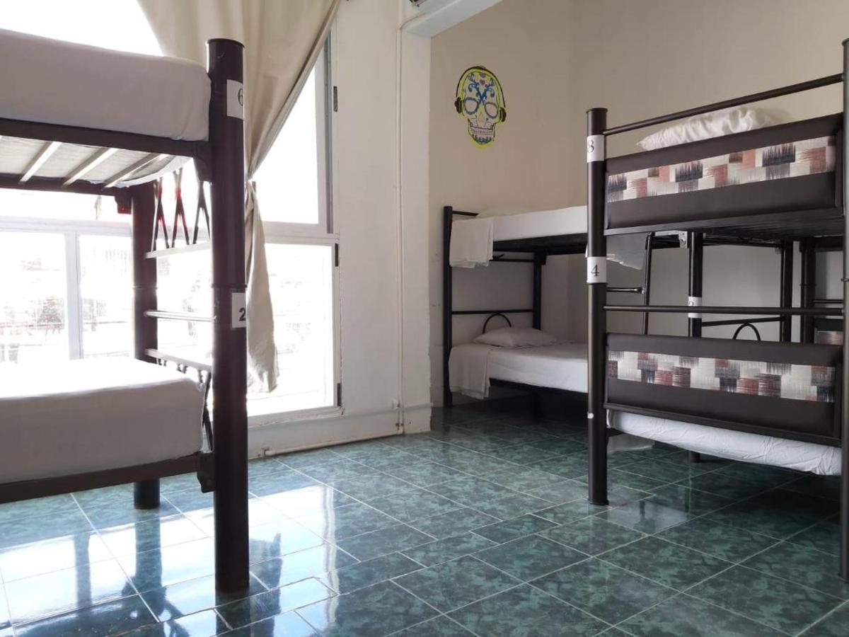 Bed in 8-Bed Mixed Dormitory Room