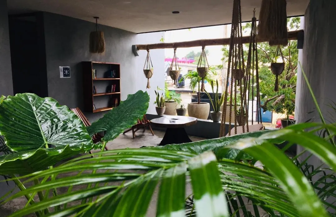 Ariche Tulum Hotel & Hostal-1