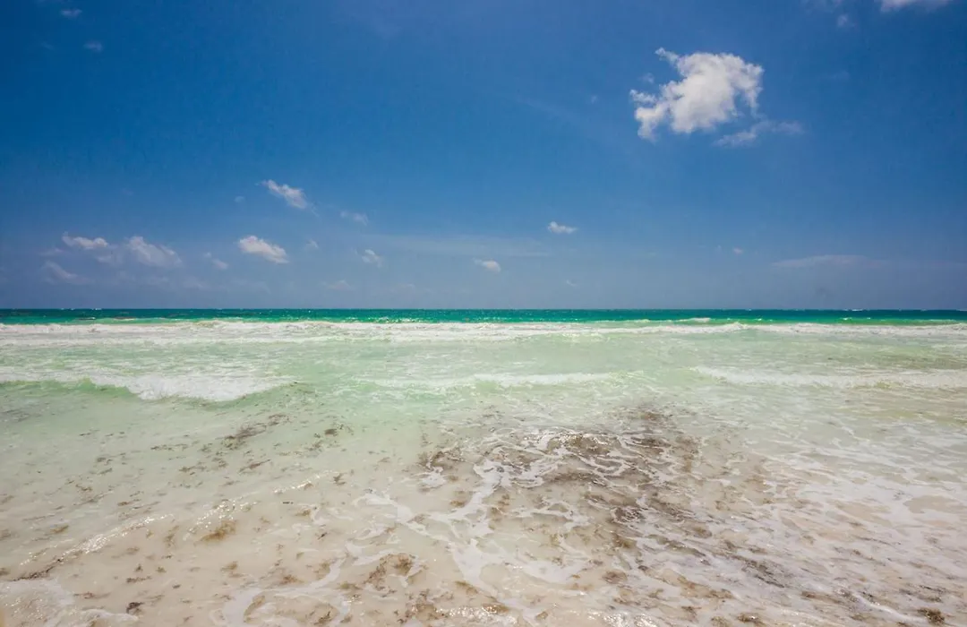 Luxury Beachfront Villa In Sian Kaan-1