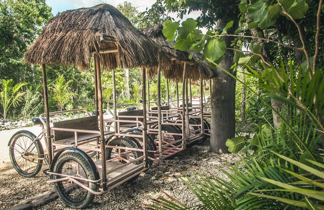 Roc Jungle Tulum-1