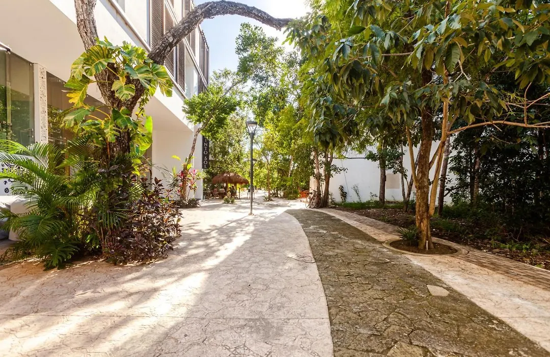Azalea by Zamá Homes-1