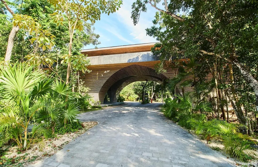 Unique Tuluminatti Style Apartment With Swing Hammocks And Plunge Pool In Most Exclusive Gated Community In Aldea Zama-1