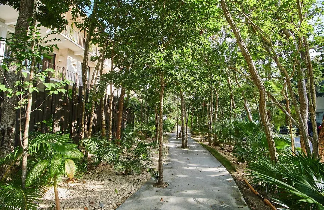 Cute & Lovely Apartment In Luum Zama Most Exclusive Gated Community In Tulum-1