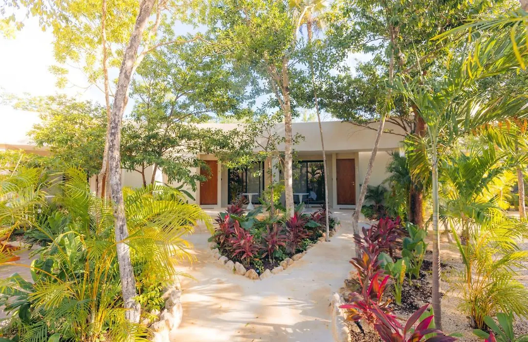 Suites At Treetops Tulum-1