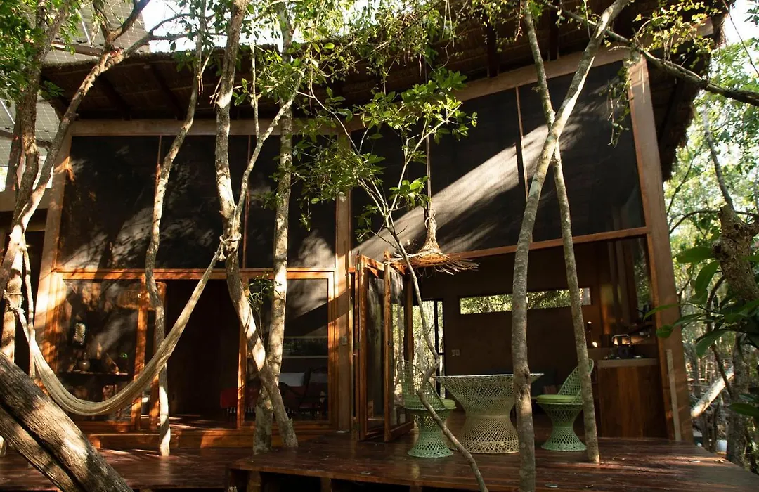 Ojo De Arbol, Boutique Cabin In The Real Jungle-1
