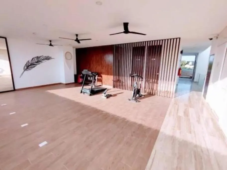 Amira 2A-1