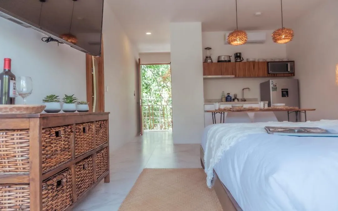 Relax And Enjoy The Luxury New Studio And Feel The Mayan Jungle-1