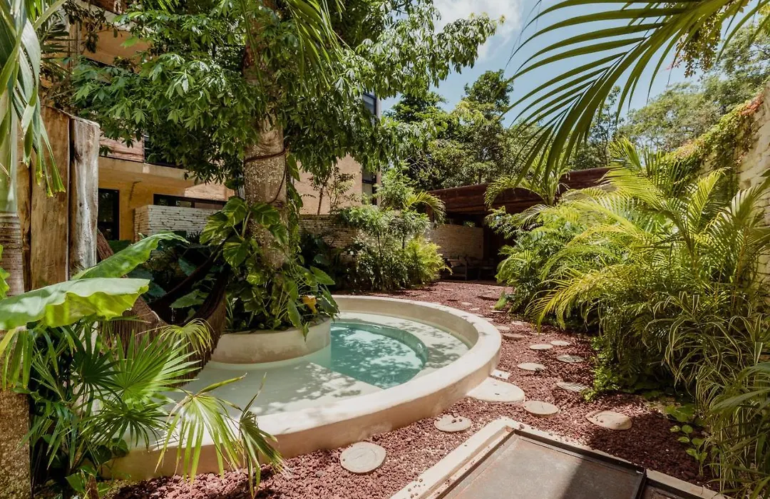 Luum Zama Luxury Villas By Luciernaga Maya-1