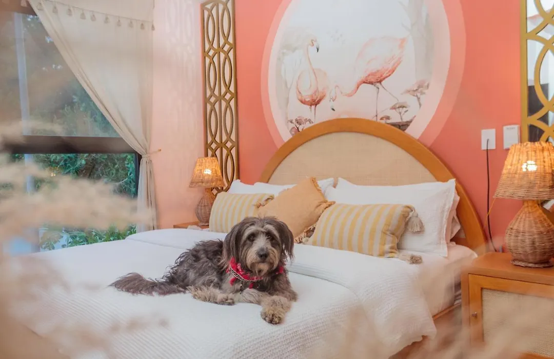 Ritzy Flamingo Suite 5 Infinity Pools-1