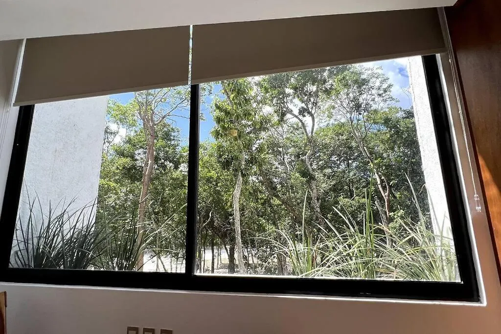 Luxury Apartment 2 Bedrooms With Jacuzzi Pp2-1