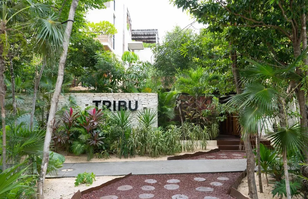Charming Jungle Apartment In Luum Zama With Pool By Yeah-1