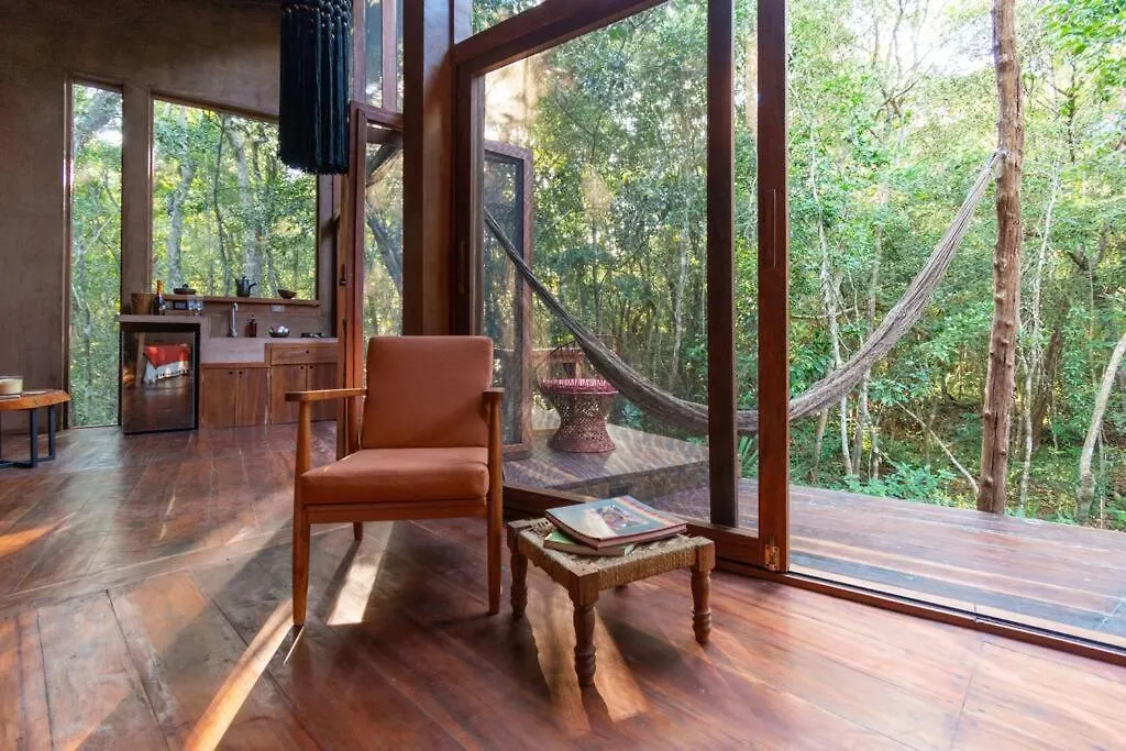OJO DE AGUA. Design+pool. Vive la auténtica selva!-1