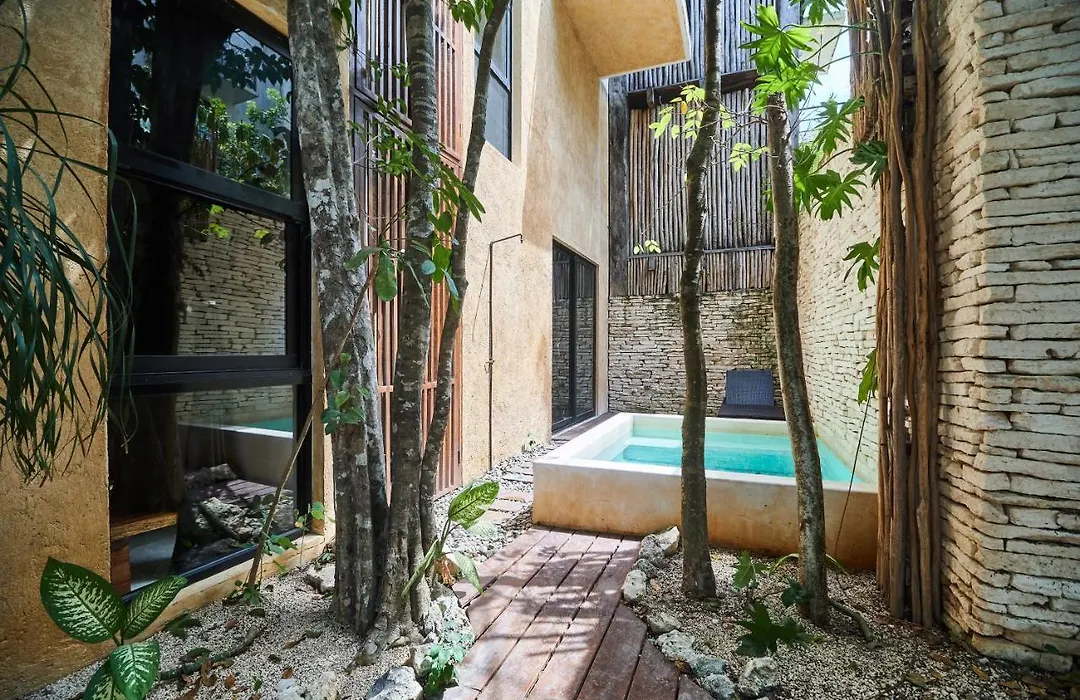 Stunning & Lovely House Luum Zama Backyard & Plunge Pool Ideal For Families Nice Amenities-1
