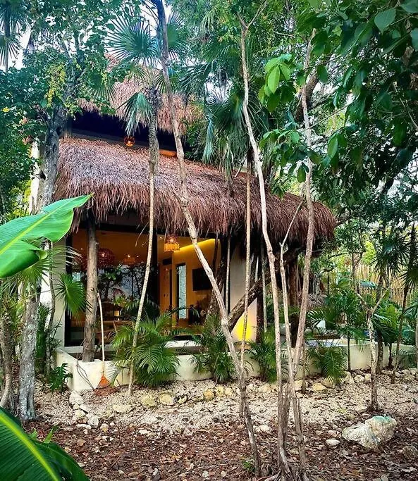 Villa Jungle Maya Tulum-1