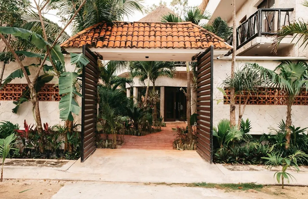 Lechuga De Mar Studios Tulum With Pool And Beach Club Access-1