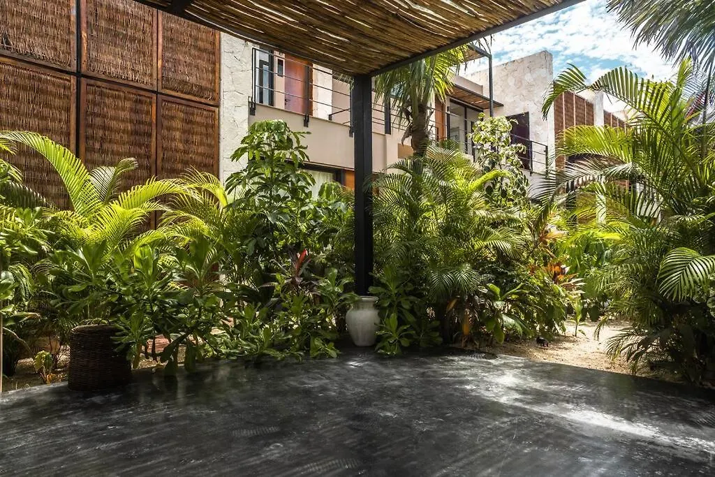 Toh1, Downtown Tulum-1