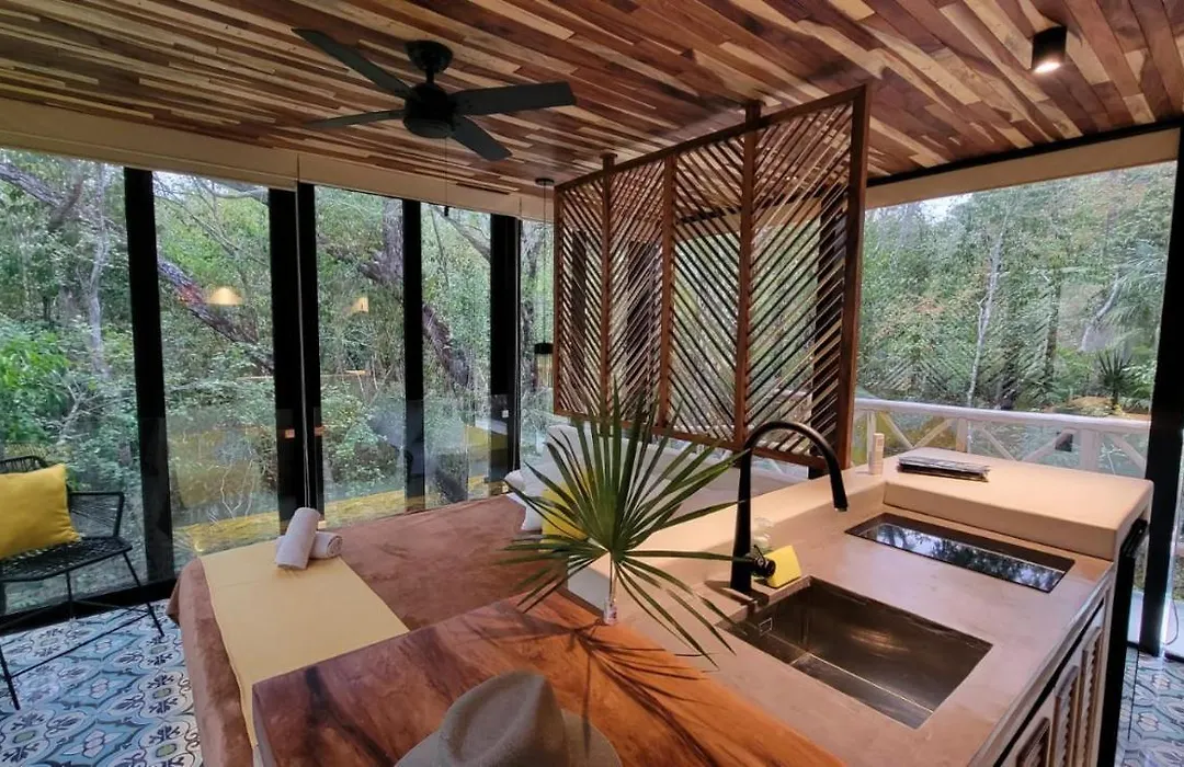 Cubo Invisible En La Selva-1