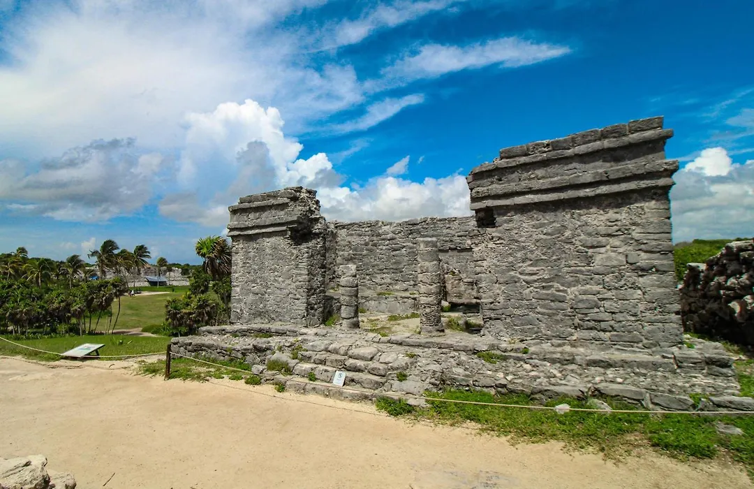 Pure Tulum 202-1