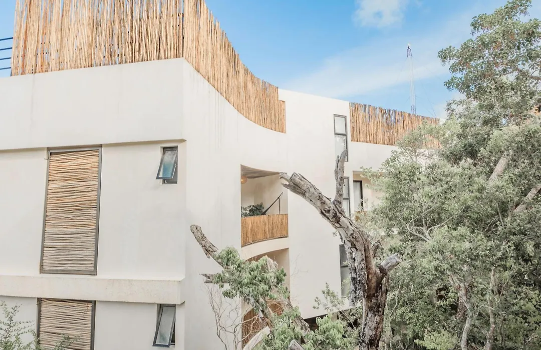 Dreamy Tropical Studio In Tulum Plunge Pool, Backyard, Rooftop Pool & Lounge Great Amenities-1