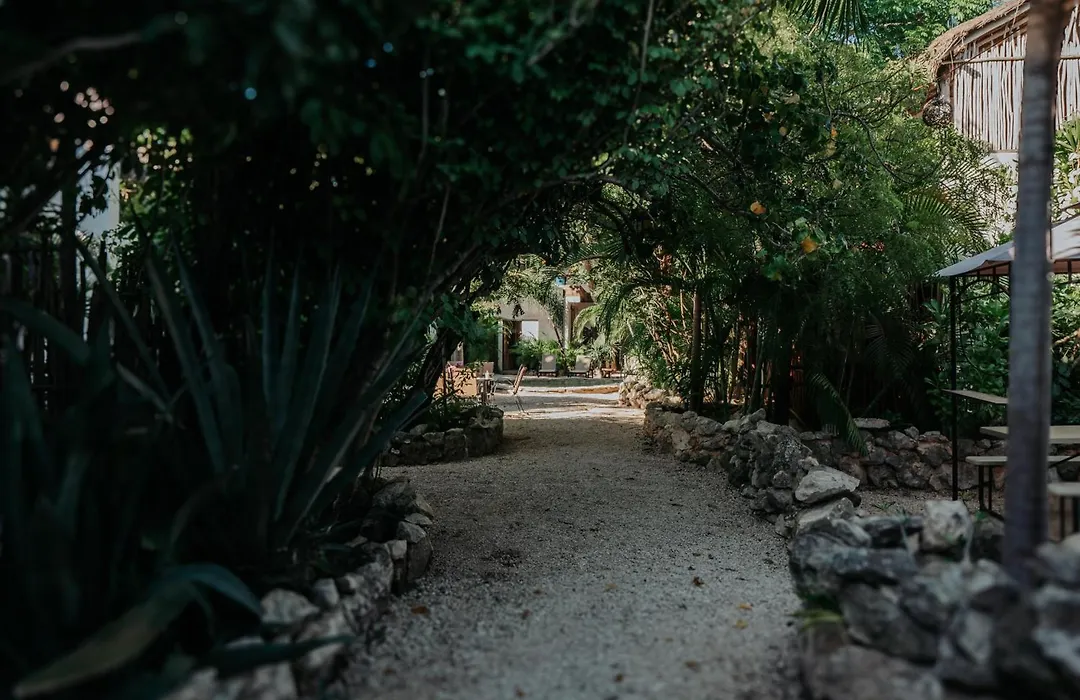 Icastico Tulum-1