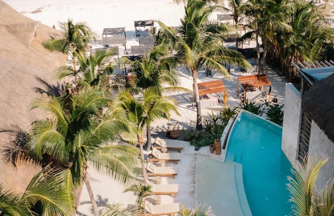 Sherlock - Swim Up Suite & Gym & Beach Club Access-1