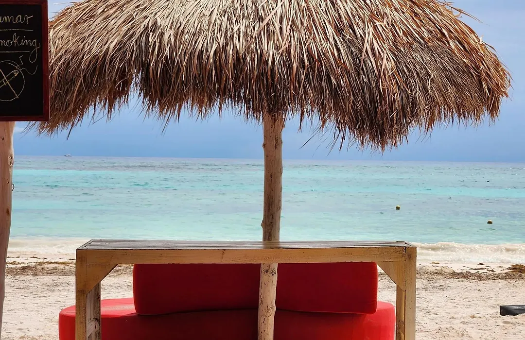 Casa De Tres Recamaras Con Alberca Compartida Con Hermosas Vistas A La Jungla Y Cerca De Todo, Ruinas, Cenotes, Laguna, Playa, Con Cochera Privada-1
