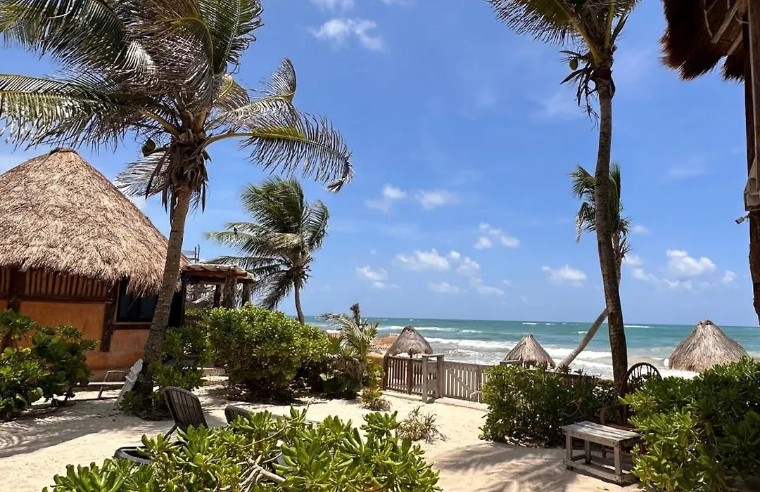 La Conchita Tulum (Adults Only)-1