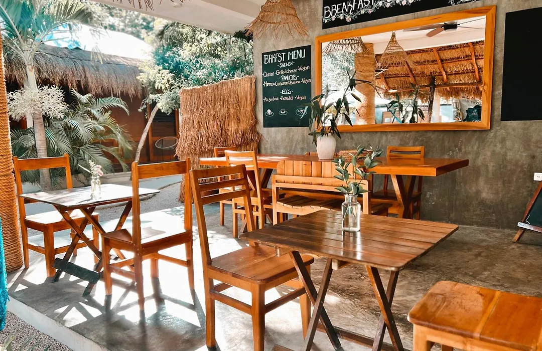 Mimosa Tulum-1