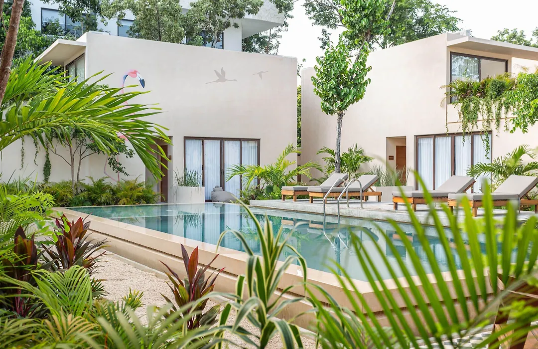 Collection O Faisano Boutique Hotel, Spa, Transportation, Rentals & Tours, Tulum (Adults Only)-1