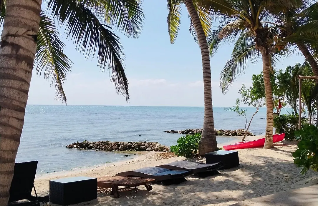 Alea Tulum-1