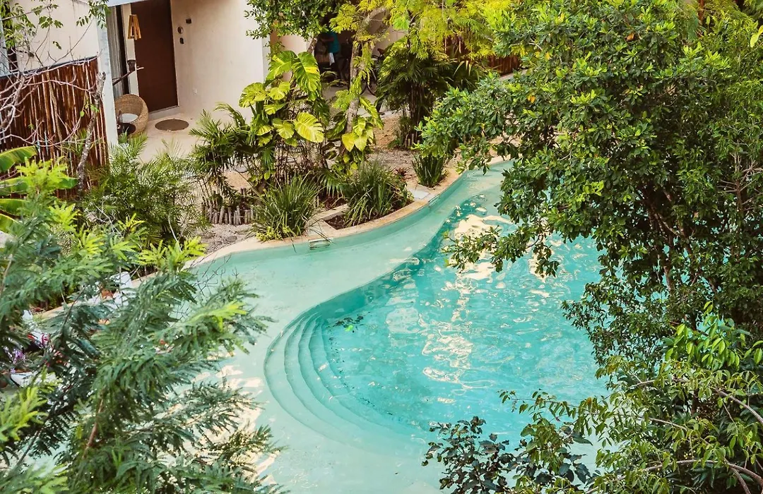 Luxury Penthouse 3Br With Private Pool & Rooftop La Veleta-1