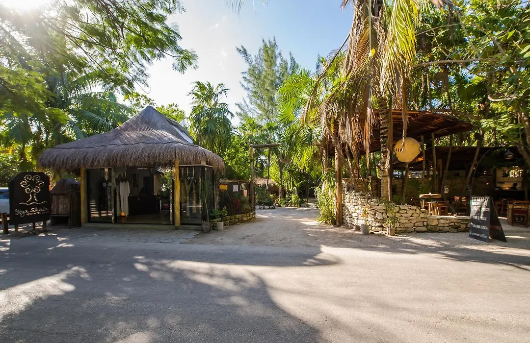 Yoga Shala Tulum-1
