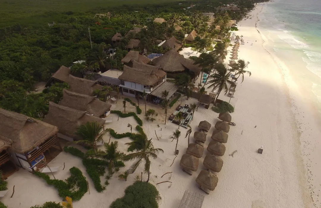 Alma Tulum-1