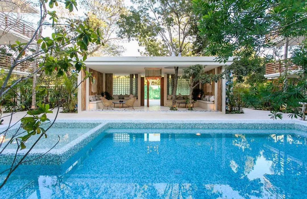 Charming Nature-Inspired Condos With Sultry Surroundings By Stella Rentals-1