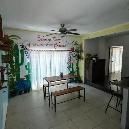 Tulum Banana Hostel-2