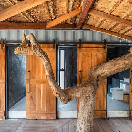 Meteora Stay & Coffeehouse Tulum-2