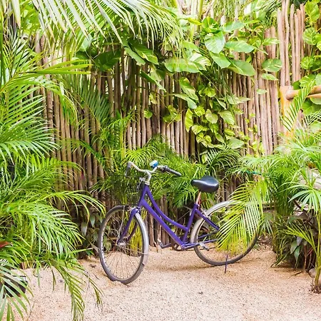 Oostel Smart Hostel - Tulum Playa-3