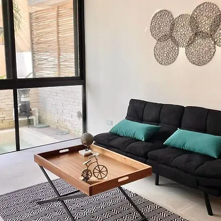 Luxury Apartment W/Private Jacuzzi & Cenote-3