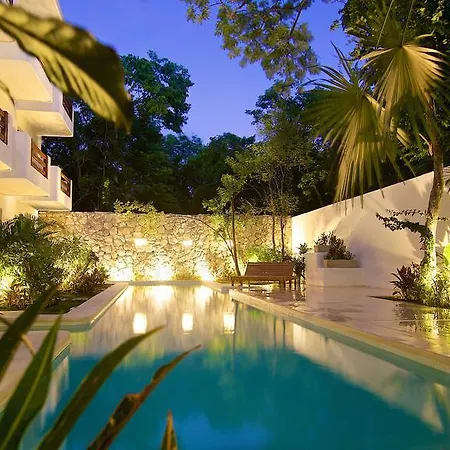 Livetulum-2