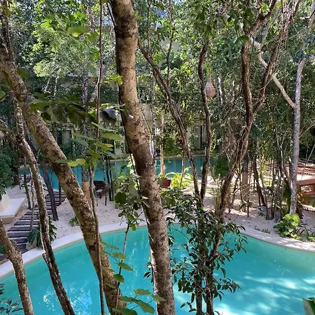 Jungle View 2bed 2bath Condo/ Wi-Fi/ Pool/ Gym-2