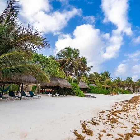 Casita In Tulum-2