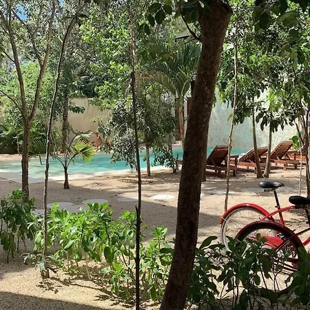 Chic-Modern Apt W/Pool, Garden, Parking & 3 Bikes-3