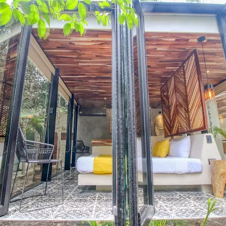 Jungle'S Nest-2