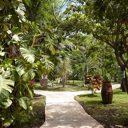 Coco Hacienda Tulum - Adults Only-2