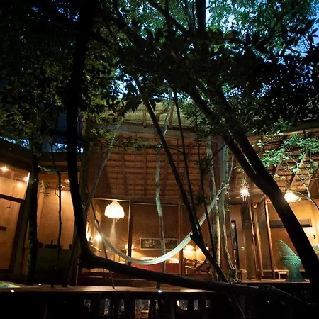 Ojo De Arbol, Boutique Cabin In The Real Jungle-2
