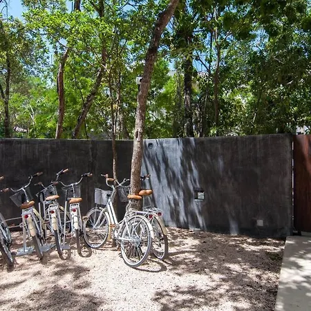 2 Bedroom Suite At Iik Tulum, 2Nd Floor W/Balcony, Private Pool, Oasis Pool View, Gym, Steam, Sauna And Rooftop Pool-3