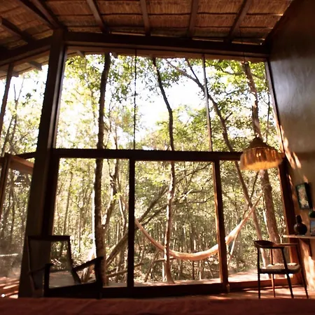 Ojo De Arbol, Boutique Cabin In The Real Jungle-3